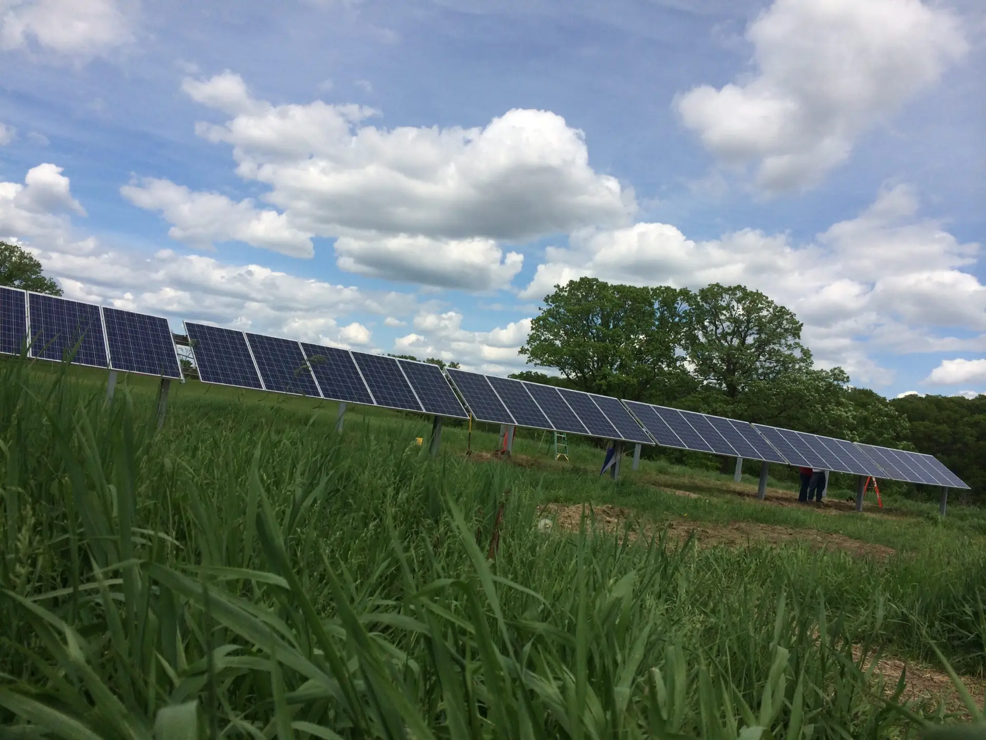 a field of solar panels