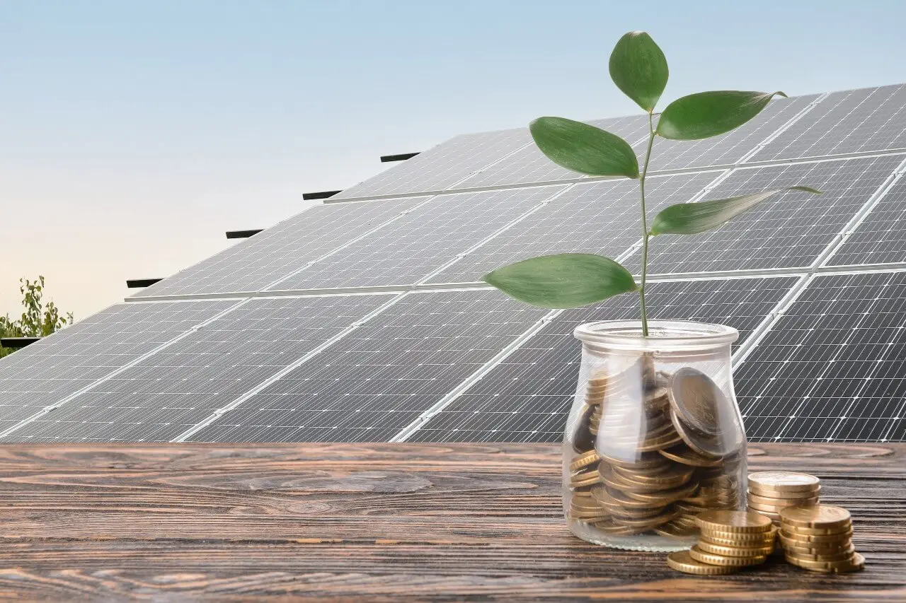 a plant growing out of coins in a jar