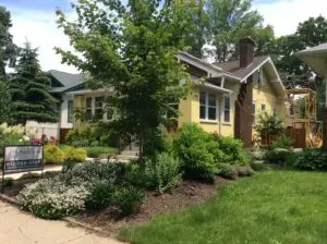 a house with a lawn and a tree