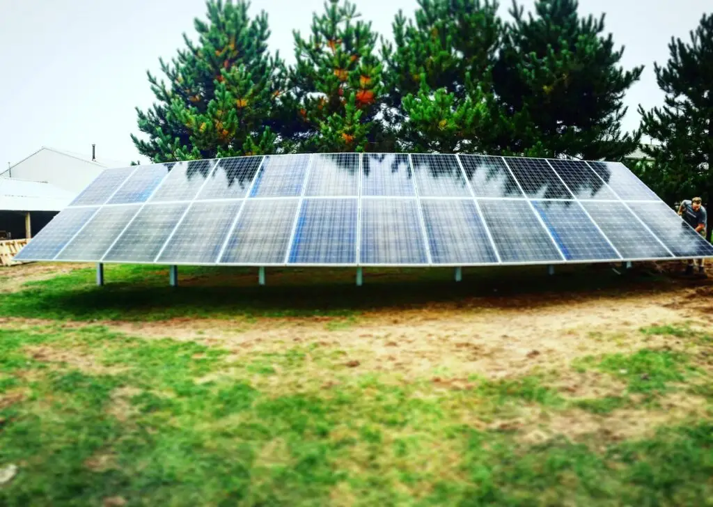 solar panels in a field