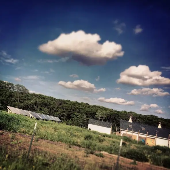 a field with solar panels and trees